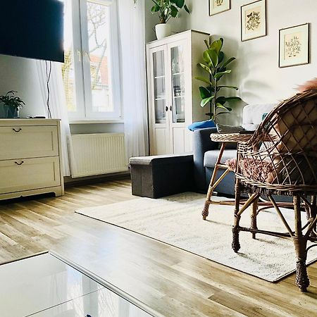 בולסלאביש Apartament Na Starym Miescie מראה חיצוני תמונה