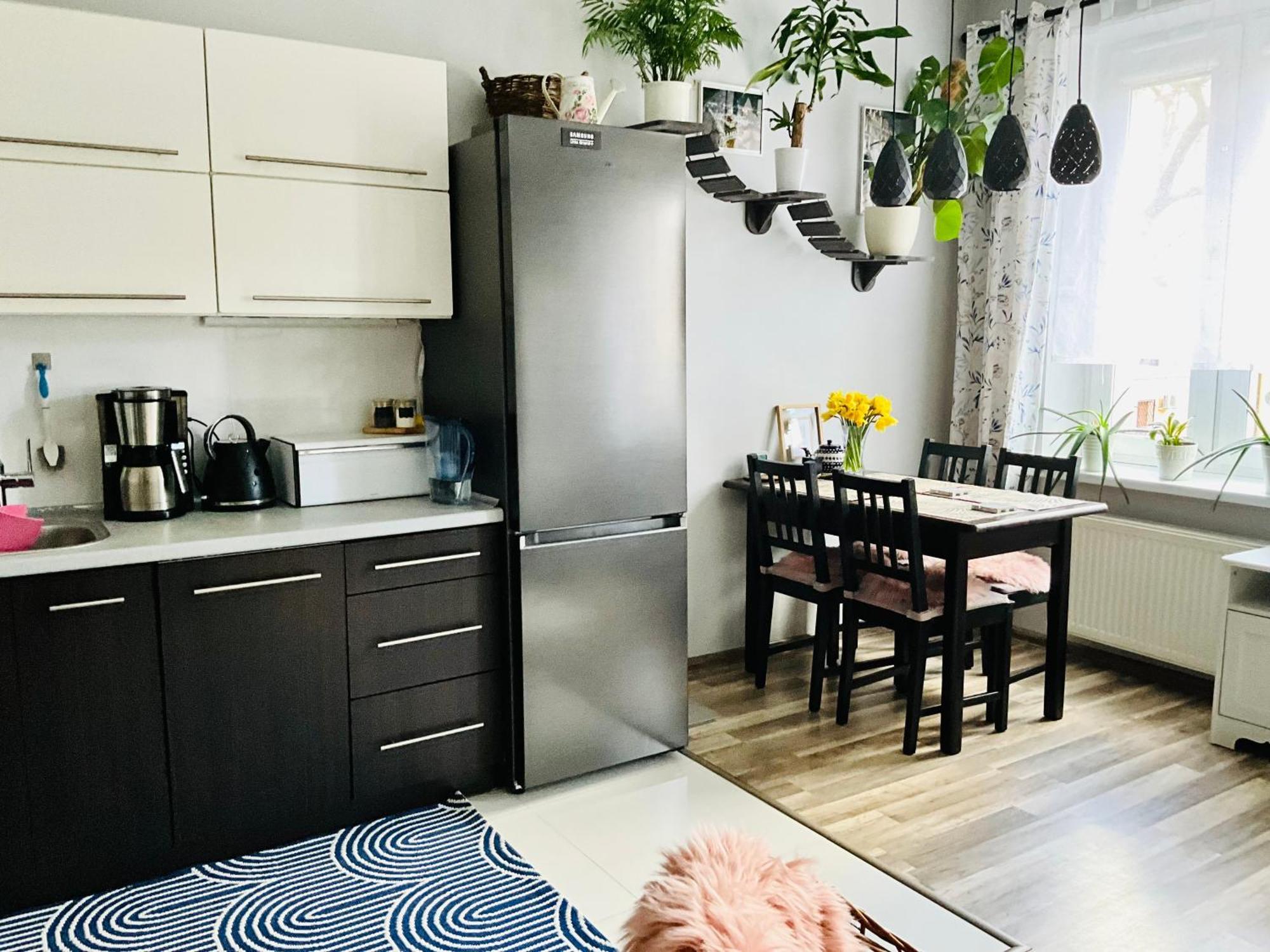 בולסלאביש Apartament Na Starym Miescie מראה חיצוני תמונה