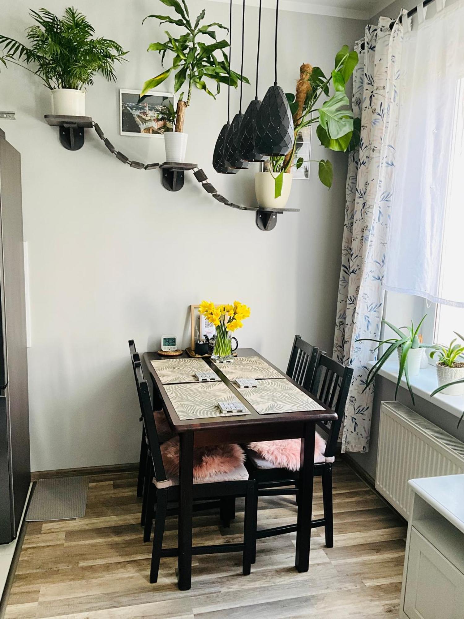 בולסלאביש Apartament Na Starym Miescie מראה חיצוני תמונה